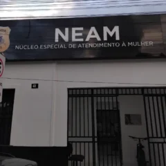 Jovem de 24 anos é preso em flagrante por tentar matar a própria mãe em Santo Estêvão