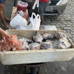 Foto: Arcevo / Pesquisa 