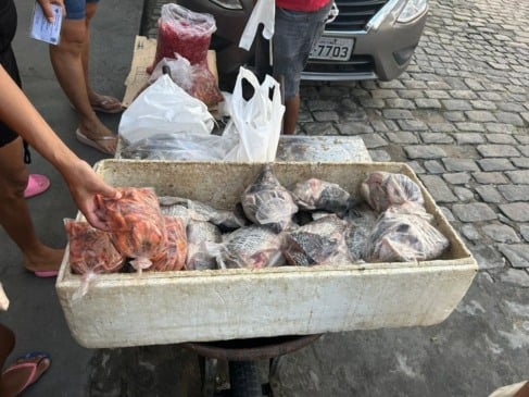 Foto: Arcevo / Pesquisa 