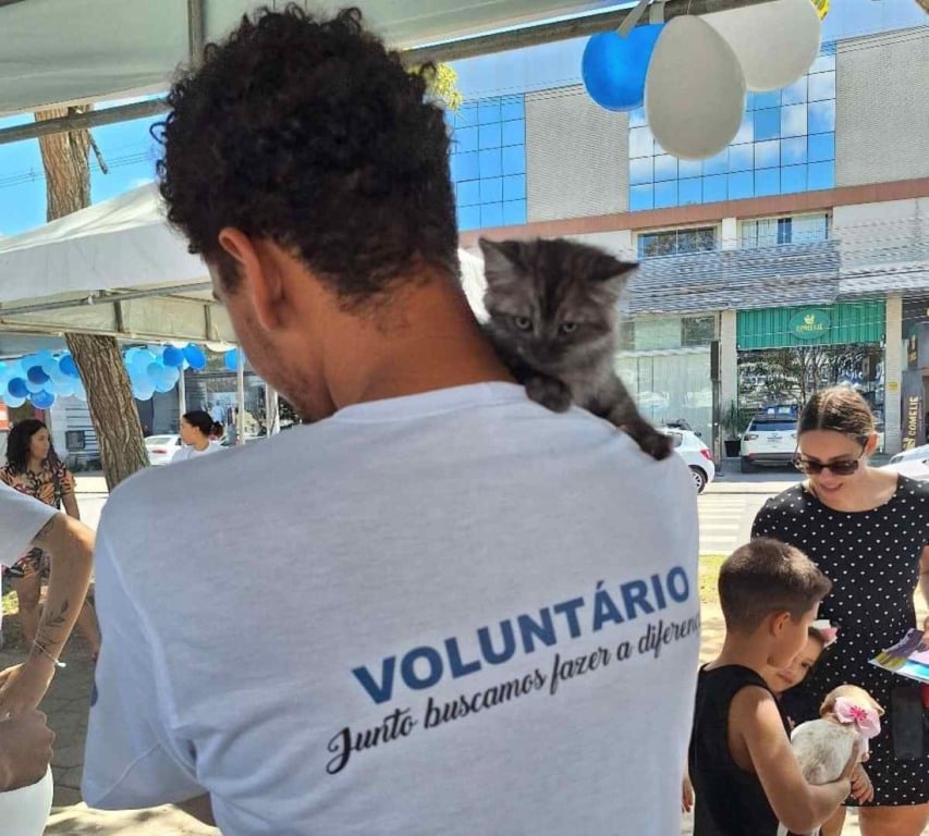Projeto Quatro Patas oferece alimento e acolhimento para animais abandonados em Feira de Santana