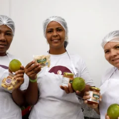 Maior produtor de laranja da Bahia, Rio Real inaugura agroindústria e mira mercado internacional