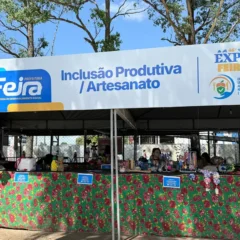 SEDESO na Expofeira