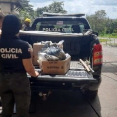 31 kg de drogas são incinerados no município de Santo Amaro