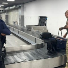 ação receita federal aeroporto de salvador