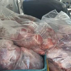 carnes clandestinas