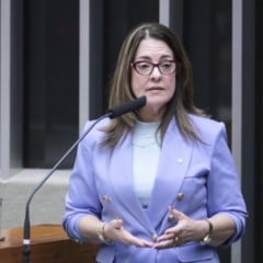Deputada Rogéria Santos propõe inclusão de mensagens contra violência à mulher em rótulos de bebidas alcoólicas