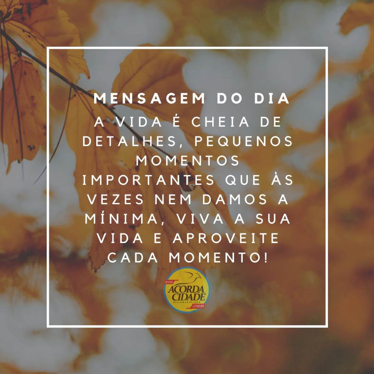 Mensagem do Dia