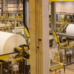 EUA retiram taxa das exportações brasileiras de celulose e ferro-níquel