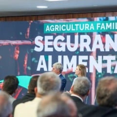Segurança Alimentar