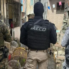 traficante de animais silvestres é preso em Salvador