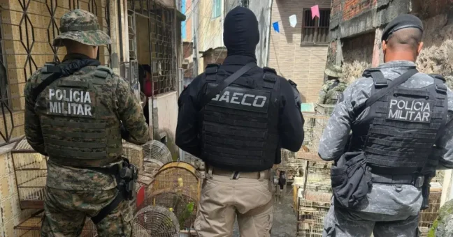 traficante de animais silvestres é preso em Salvador