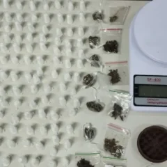 Apreensão de drogas