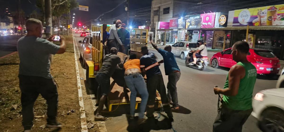 Carro atinge duas vacas soltas na Avenida Noide Cerqueira5