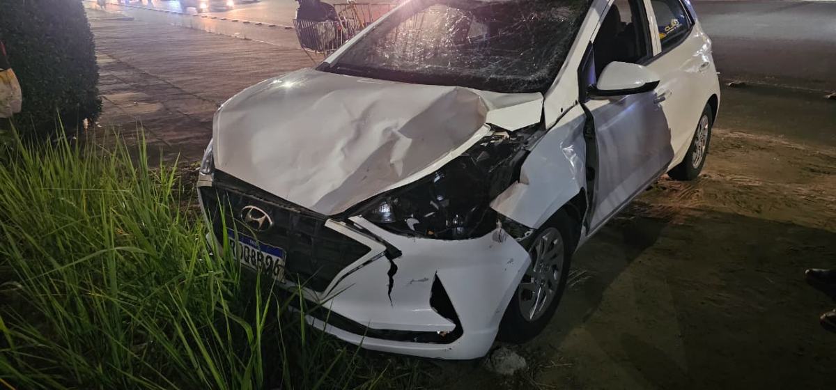 Carro atinge duas vacas soltas na Avenida Noide Cerqueira