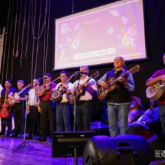Festival de violeiros