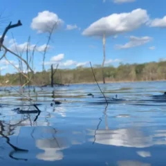 Divulgado resultado do Concurso de Fotografia de Lagoas de Feira de Santana