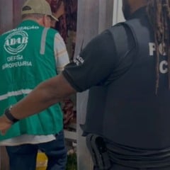 Operação Agro II combate organização criminosa envolvida em roubo de gado