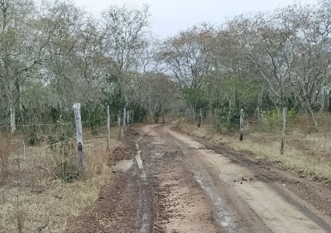 Estradas da zona rural de Feira