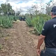 Suspeito de estupro de vulnerável contra a própria filha é preso em Araci