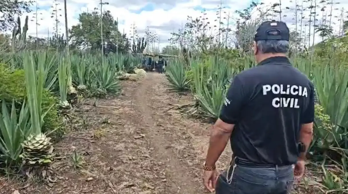 Suspeito de estupro de vulnerável contra a própria filha é preso em Araci