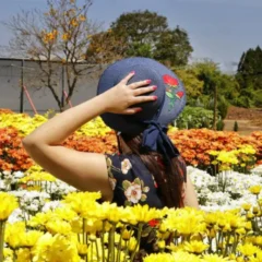 Entenda por que a primavera é a melhor época para viajar pelo Brasil