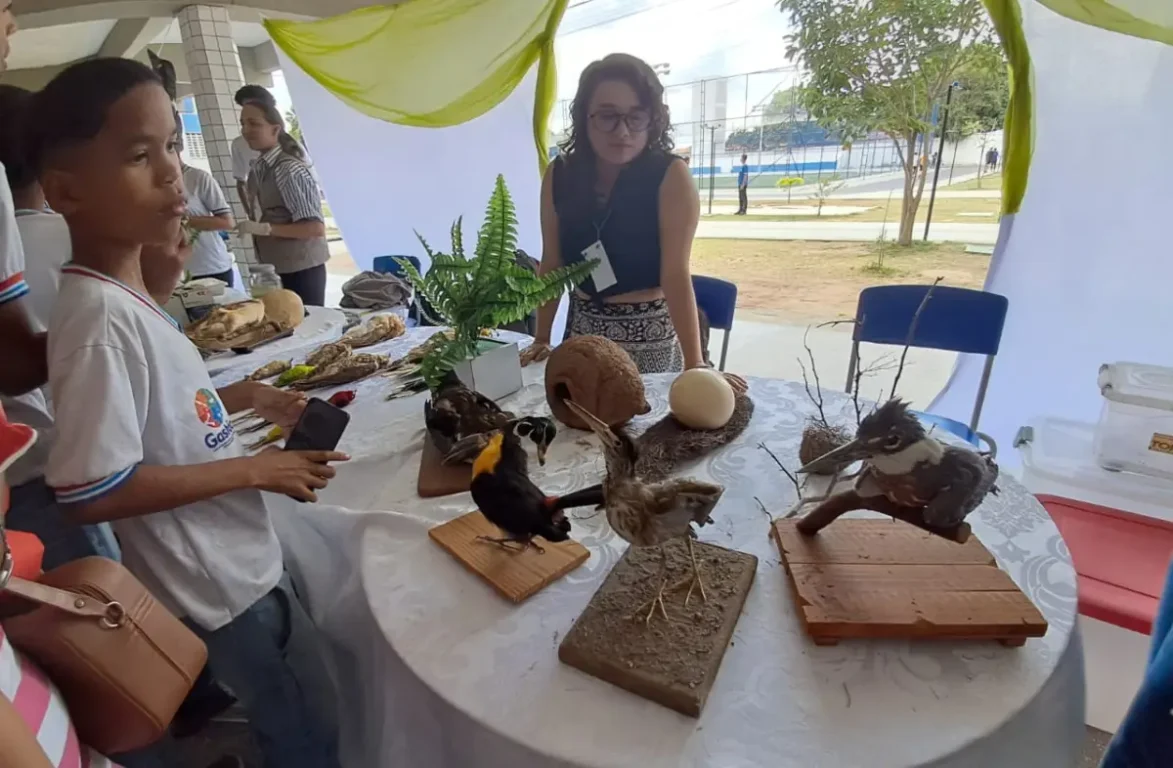 Primeira Mostra de Ciências do Gastão Guimarães