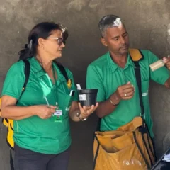 Com ações intensivas, Feira de Santana alcança índices baixos de infestação pelo Aedes aegypti