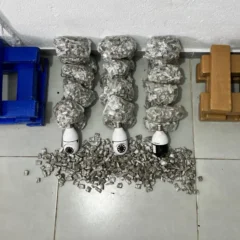 apreensão de droga em Itacaré