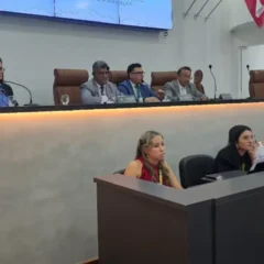 audiência sobre PPA na Câmara
