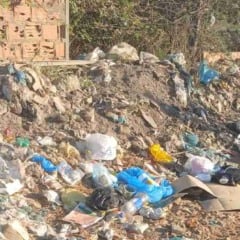 Moradores denunciam mato, lixo e abandono em diferentes bairros de Feira de Santana