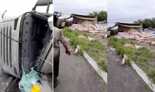 Carreta com carne suína tomba na BR-116 e carga é saqueada