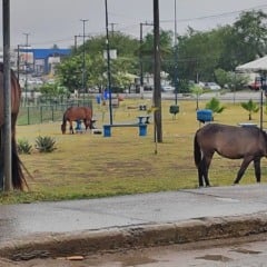 Foto: Ed Santos / Acorda Cidade 