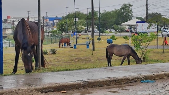 Foto: Ed Santos / Acorda Cidade 