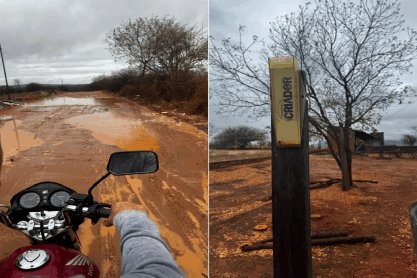 Foto: Reprodução / Achei Sudoeste 