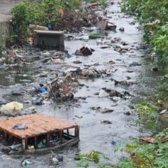 Foto: Paulo José / Acorda Cidade 