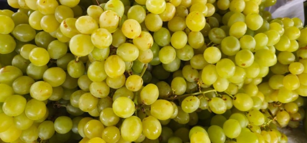 Feirinha da Estação Nova Feirinha da Estação Nova