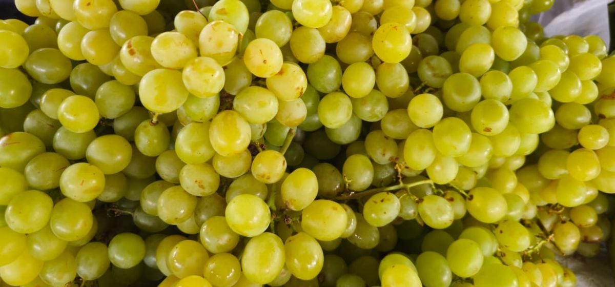 Feirinha da Estação Nova Feirinha da Estação Nova