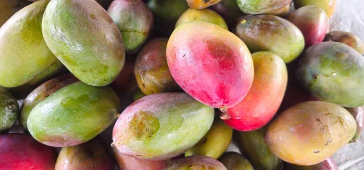 Feirinha da Estação Nova