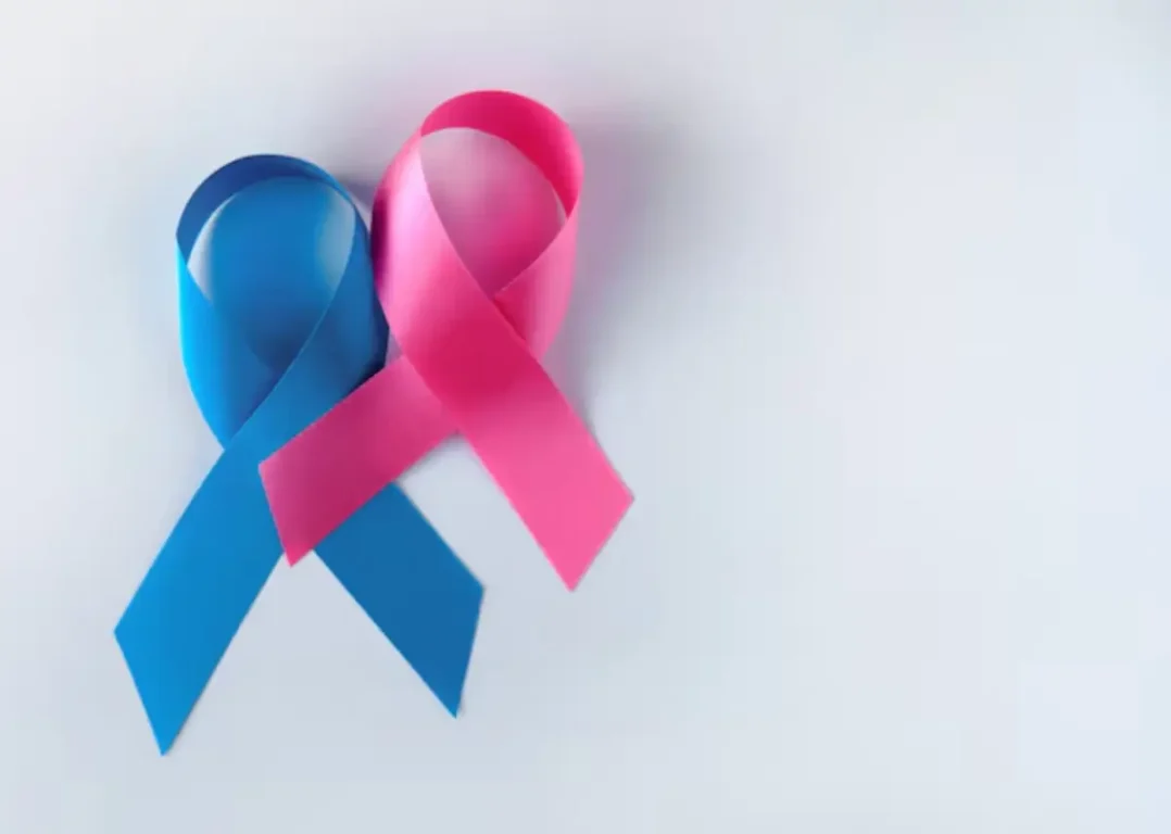 Sindicato dos Bancários une Outubro Rosa e Novembro Azul em palestra sobre prevenção e cirurgia robótica Sindicato dos Bancários une Outubro Rosa e Novembro Azul em palestra sobre prevenção e cirurgia robótica