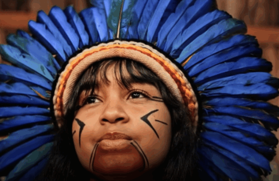 Foto: Divulgação  Foto: Divulgação