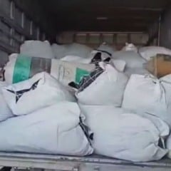 Forças estaduais e federais interceptam 781 kg de maconha na BR-235