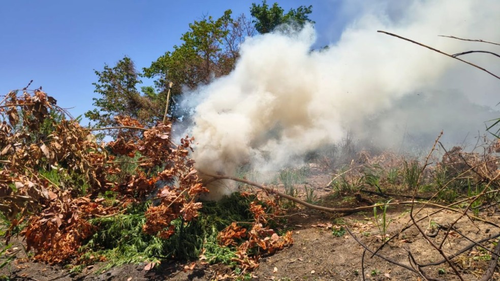 Foto: Divulgação/ Polícia Militar - DCS