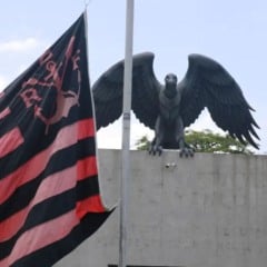 Ninho do Urubu