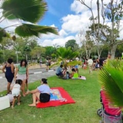 Longe das telas e mais perto da natureza; crianças aproveitam dia de brincadeiras ao ar livre no Parque da Cidade
