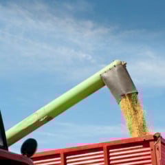 Produção Agrícola