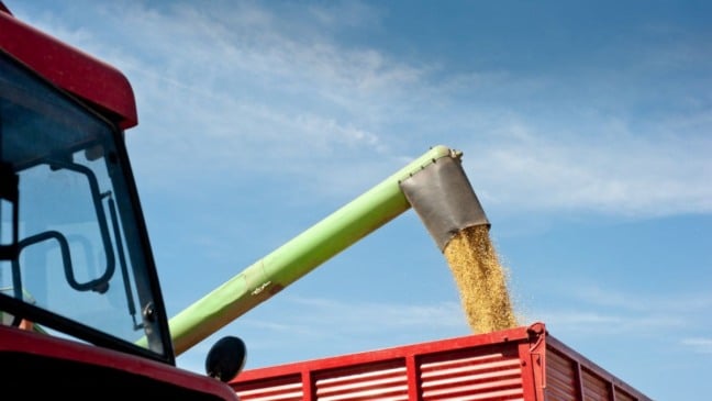 Produção Agrícola Produção Agrícola