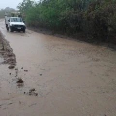 Bahia é atingida por mais de 73 mil raios em 48 horas; veja orientações da Coelba