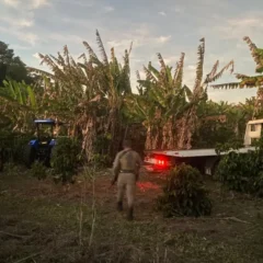 recuperação de veículos roubados