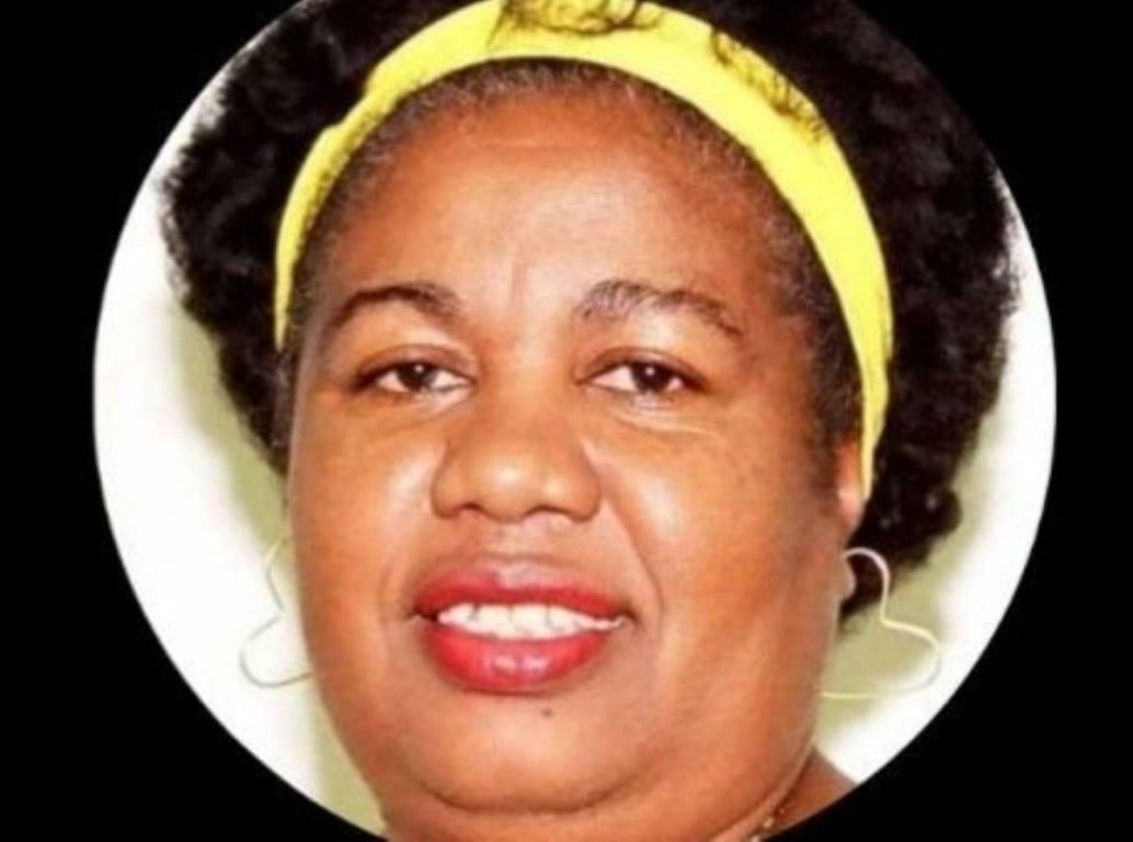 servidora aposentada silêncio câmara