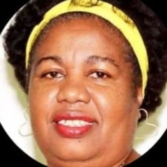 servidora aposentada silêncio câmara